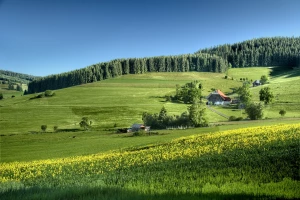 Jak usunąć reklamy z telefonu Samsung