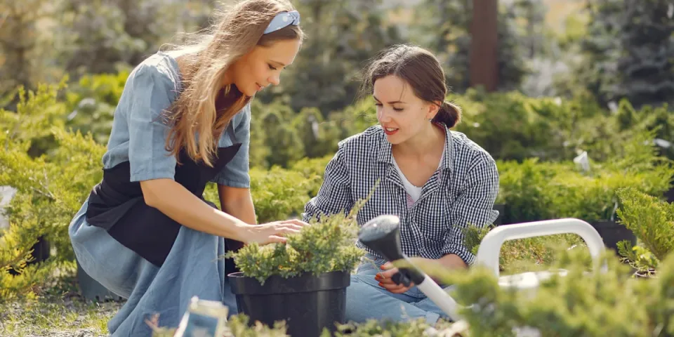 Mikrokursy marketingu — krótkie lekcje, które uczynią cię lepszym marketerem
